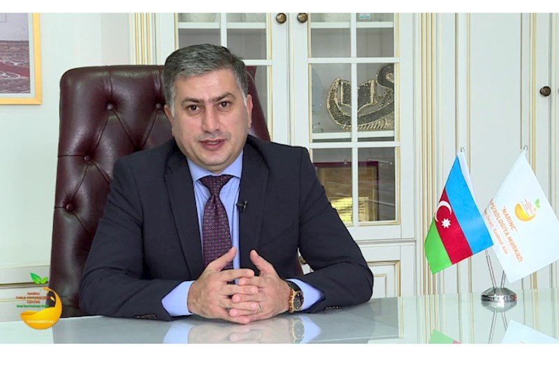  Psixoloq: "Valideynlər yeniyetmələrin akademik uğurunu həyatın yeganə məqsədi kimi görür"