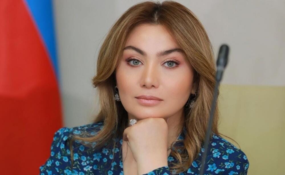 Eks-deputatdan Ruhi Əliyevaya təklif: Deputatlığa namizədliyinizi verin