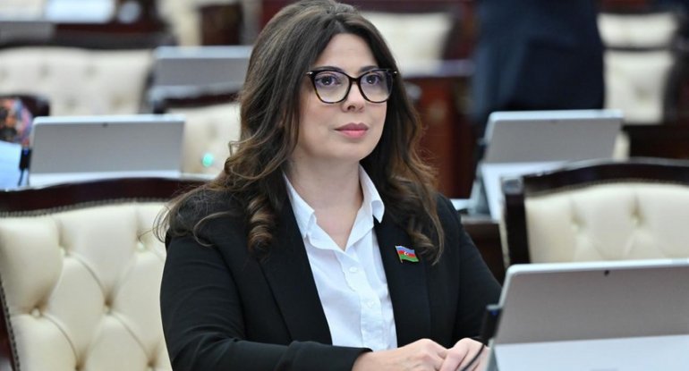 Prezidentin “Konstitusiya və Suverenlik İli” sərəncamının tarixi əhəmiyyəti var - Deputat