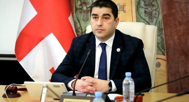 Ukrayna ilə bağlı qətnamənin məqsədi budur - Papuaşvili