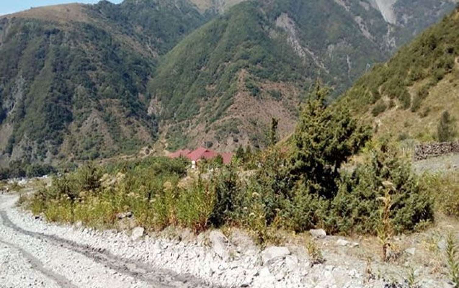 Vətən müharibəsi qazisinin meyiti tapıldı