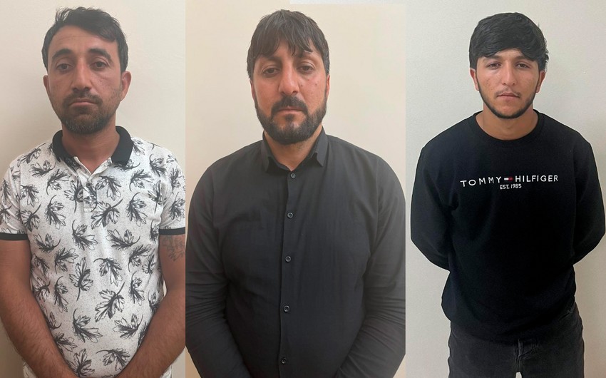 Naxçıvanda heyvanlarla rəhmsiz rəftar edən şəxslər müəyyən edilib