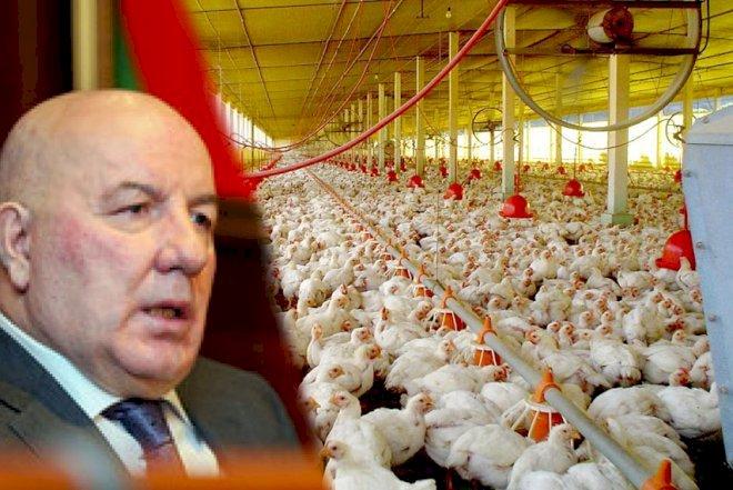 ELMAN RÜSTƏMOV MALİYYƏ PROBLEMİ YAŞAYIR? - “Səba” şirkətinin qiymətli aktivləri satışa çıxarılır