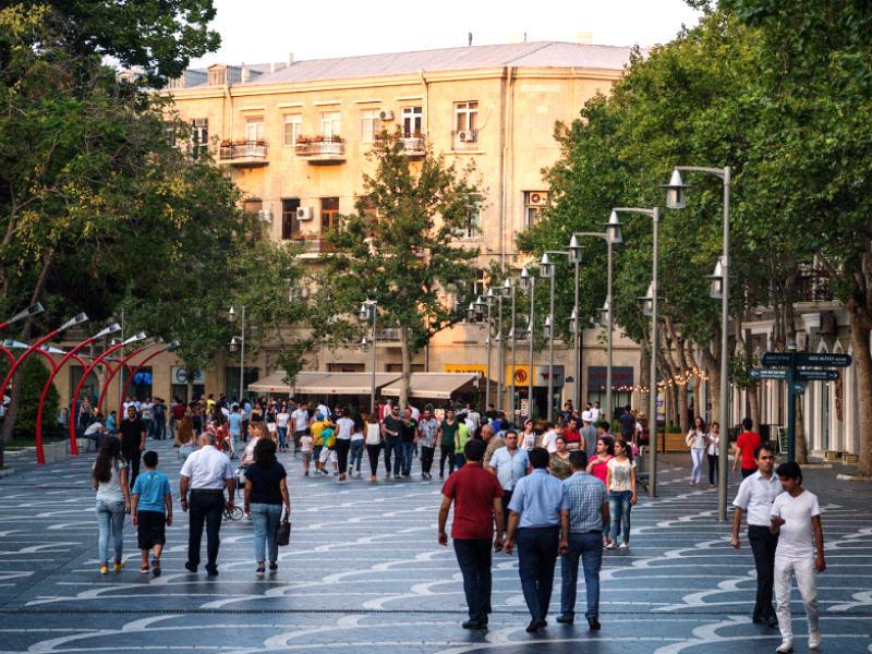 Ölkəmizdə 1,3 milyon ali təhsilli var: neçə faizi işləyir?