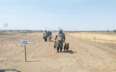 Azərbaycan Qarabağın minalardan təmizlənməsində zamanla yarışır