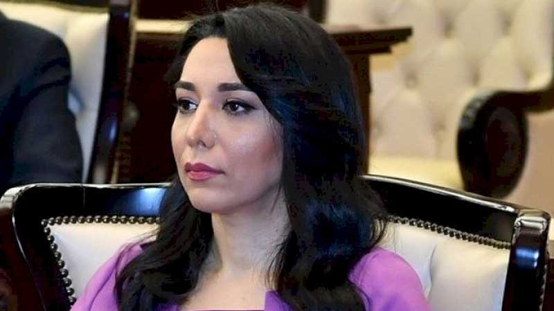 Ombudsman Ermənistanın törətdiyi təxribatlarla bağlı BƏYANAT YAYDI