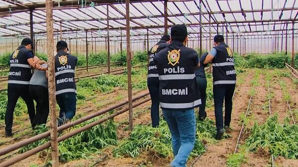 Masallı polisi əməliyyat keçirdi: saxlanılan var