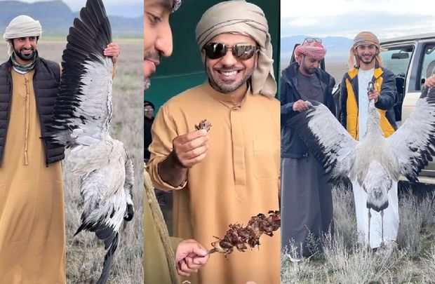 İRANIN "ACIĞINA" VƏHHABİLƏRƏ YAŞIL İŞIQ... - Ərəblər yenə Azərbaycana şahin ovuna gəlirlər