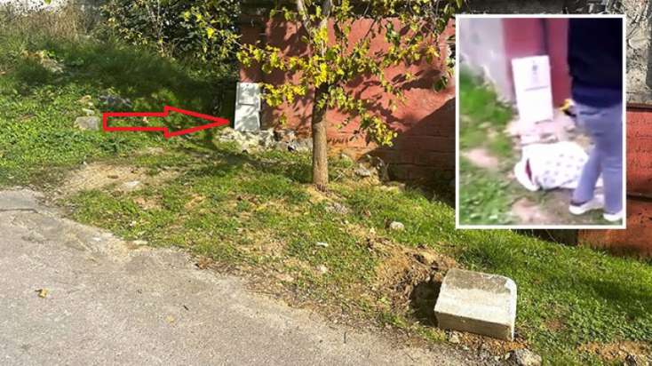 Fəhlələr yol kənarında çanta tapdı: İçinə baxanda DƏHŞƏTƏ GƏLDİ - FOTOLAR