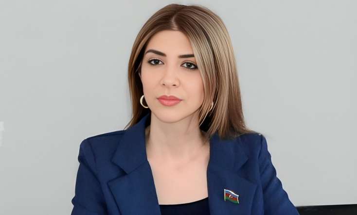 "Paşinyanın təşəkkür bəyanatı sülhə doğru mesajdır" - Millət vəkili