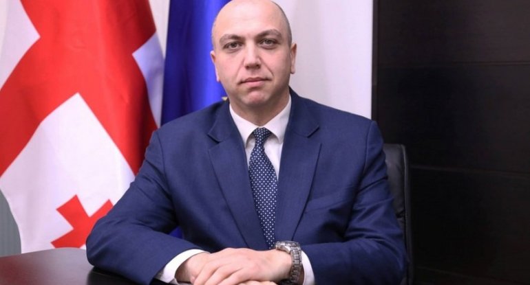 Gürcüstanda nazir istefa verib