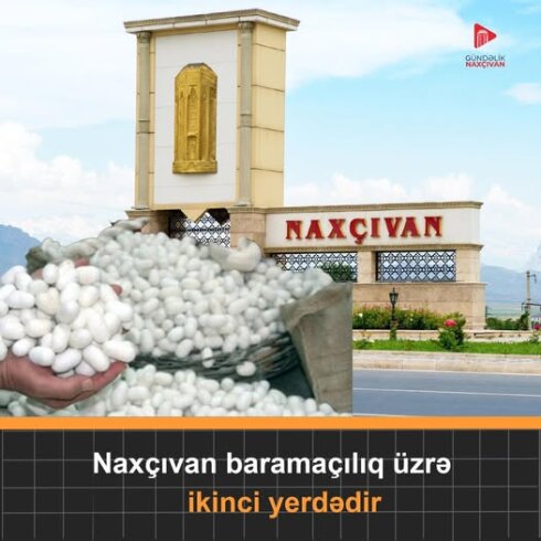 Naxçıvanda barama "yeyinti"si...