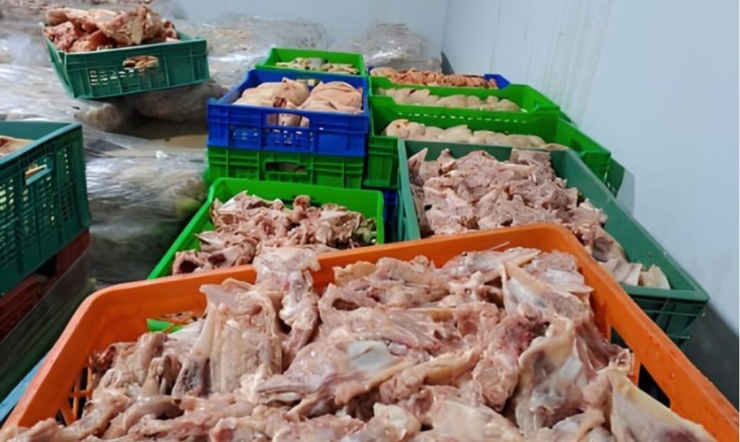 Buzovnada insanlara satılan dönər at ətindən imiş: "FQ Foodex" MMC İFŞA EDİLDİ