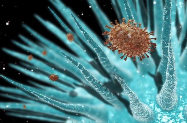 50 min illik virus oyanır - Təhlükə