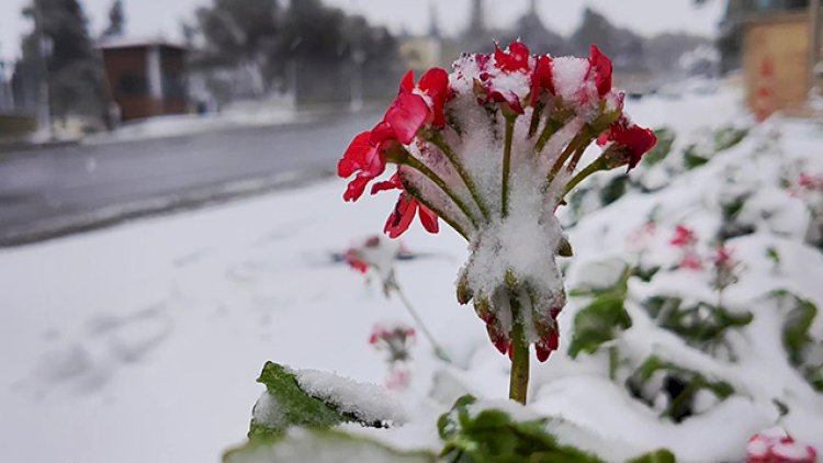 Hava soyuyur, 2 dərəcə şaxta olacaq – PROQNOZ