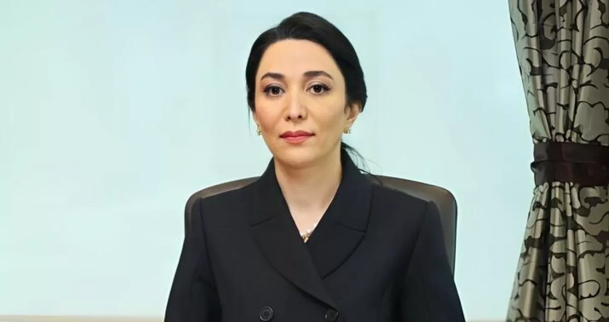 Ombudsmanın təşəbbüsü əsasında əlilliyi olan şəxslərin hüquqları ilə bağlı maarifləndirici videoçarx hazırlanıb