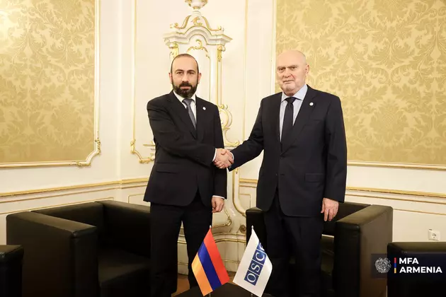 Mirzoyan Siniroğlu ilə görüşdü