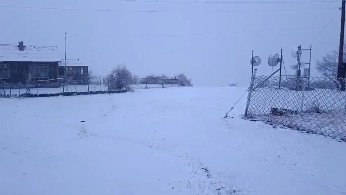 Naxçıvan ağ örpəyə büründü - GÖRÜNTÜ