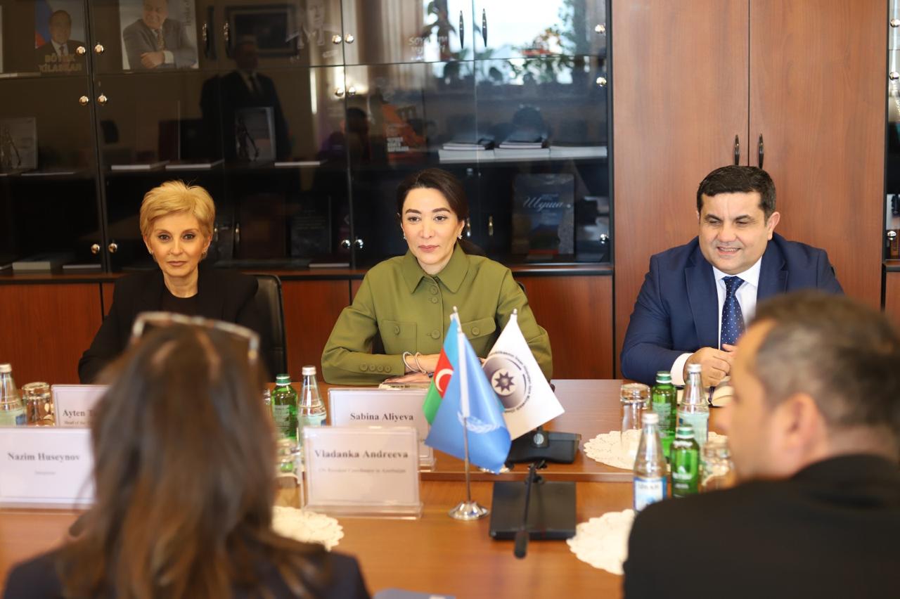Ombudsman BMT-nin ölkəmizdəki rezident əlaqələndiricisini qəbul edib