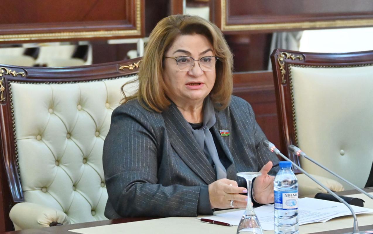 “İş yerləri ilə bağlı sosial şəbəkələrdə boş-boş danışırlar” - Milli Məclisin komitə sədri