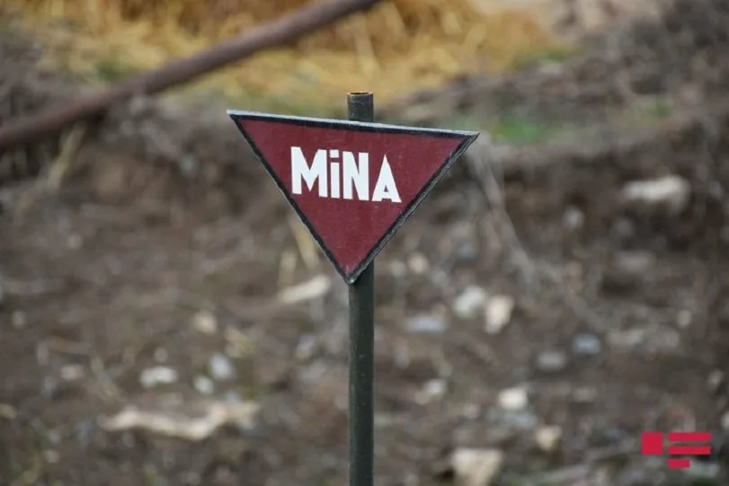 Ötən həftə 508 hektardan çox ərazi minalardan təmizlənib
