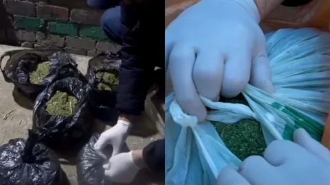 Siyəzəndə 6 kiloqram narkotik aşkarlanıb