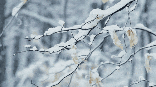 Temperatur enəcək, qar yağacaq - Xəbərdarlıq