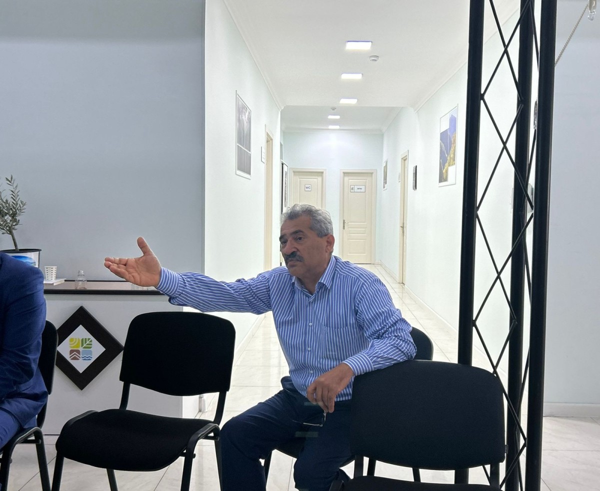 Beton şəhərlər mikroiqlimi məhv edir - Memar
