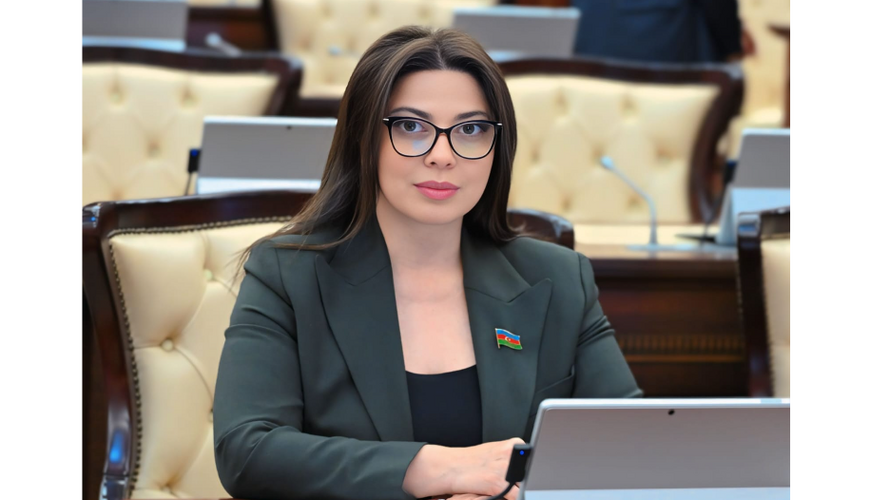 “Əxlaqsızlığın təbliği narahatlıq doğurur” - Deputatdan şok çağırış