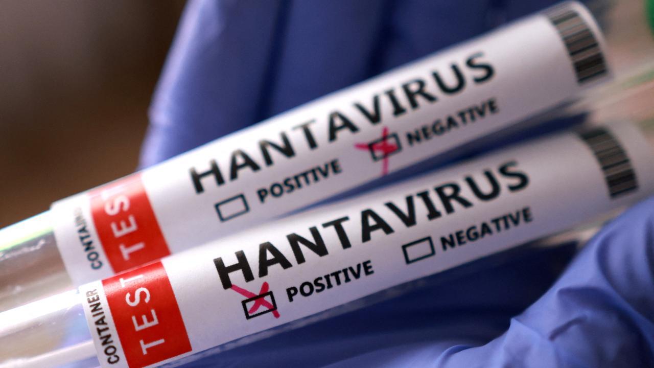 Hantavirusu evdə belə yoxlamaq olar