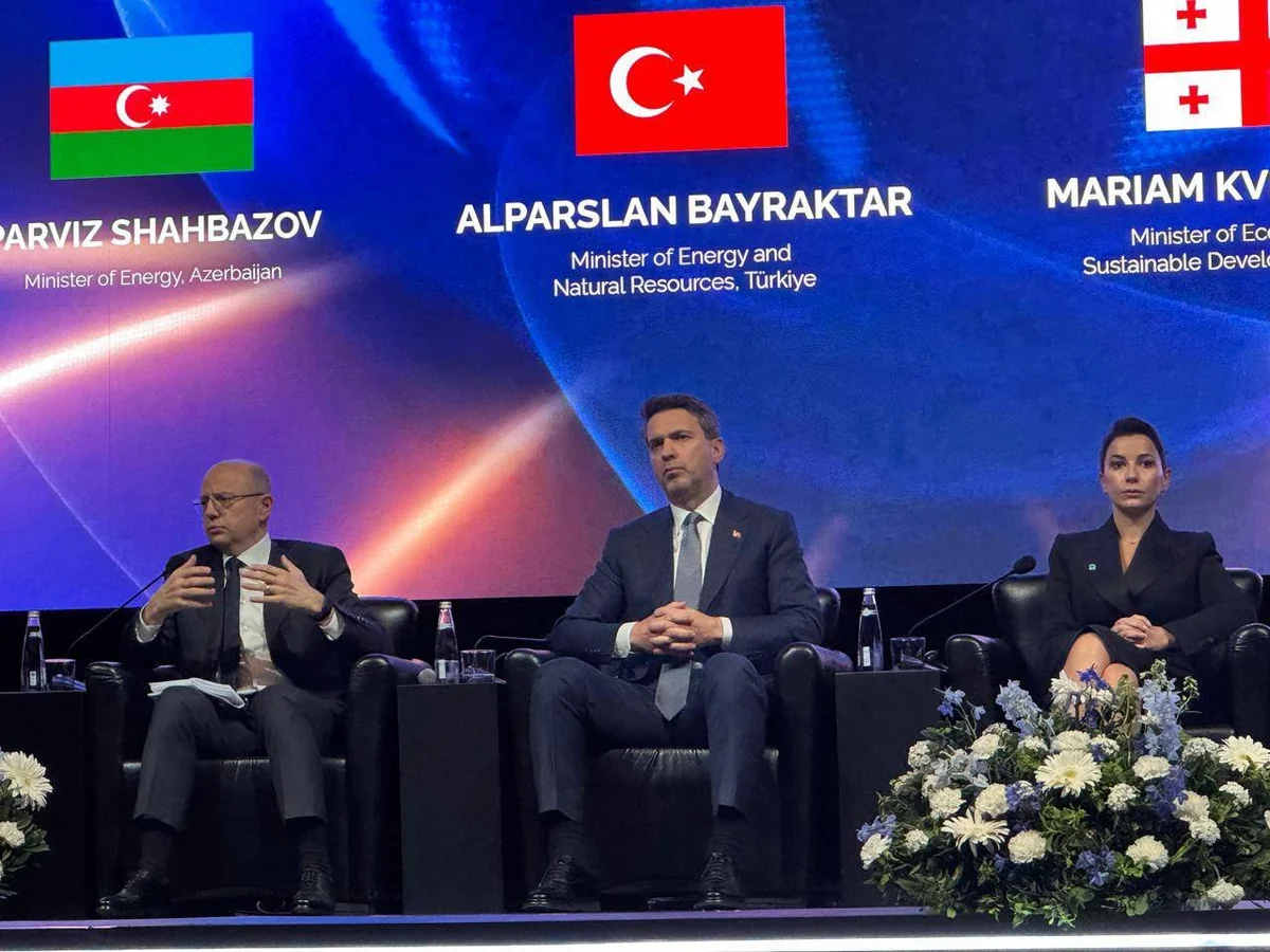 Nazir: "Zəngəzurdan keçəcək enerji xətti Türkiyənin regional hab rolunu artıracaq"