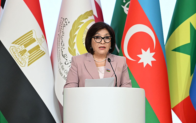 Sahibə Qafarova İƏTPİ-nin 20-ci sessiyasında çıxış etdi - Fotolar