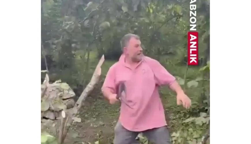 Türkiyədə kəndçilər dəliyə döndü - Fındıq ağaclarını baltaladılar - VİDEO