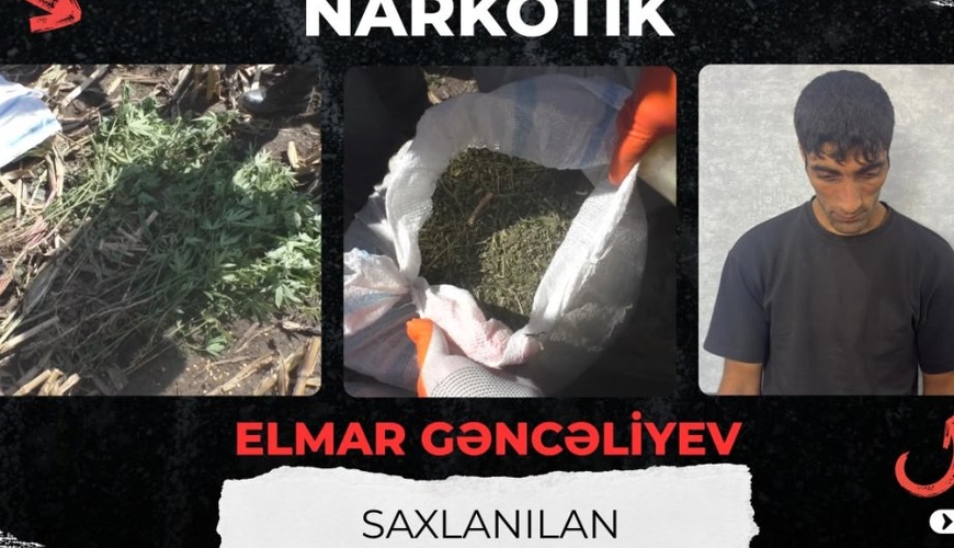 Qarğıdalı sahəsində narkotik əkdi