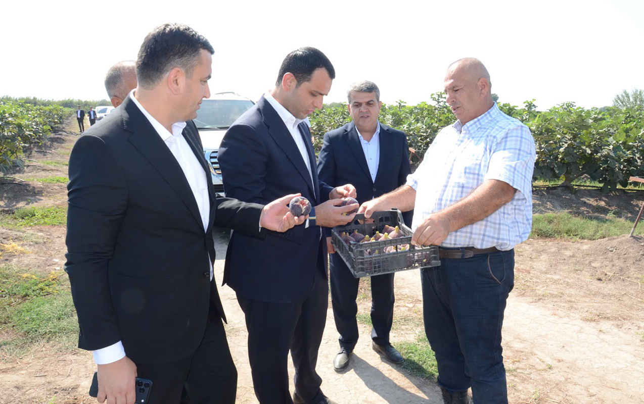 Saatlıda Dövlət Proqramından irəli gələn məsələlər müzakirə olundu - Fotolar