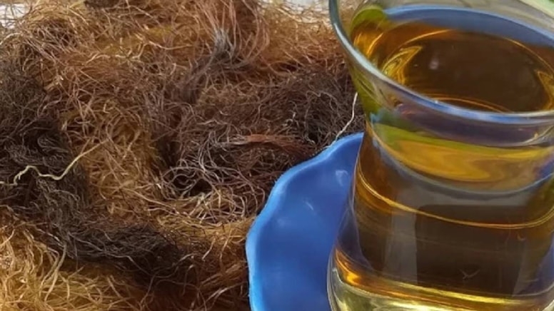 İllərdir zibil bilib atırdıq - Min dərdin dərmanı imiş