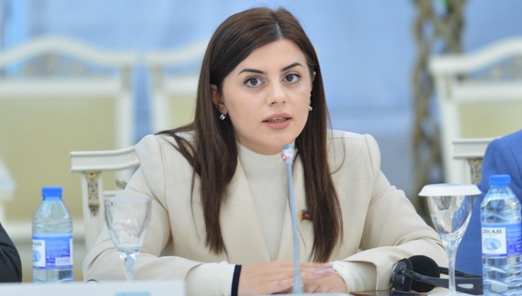 Zəngilanın gələcəyi qurulur: Yeni yaşayış məntəqələri və nəqliyyat layihələri