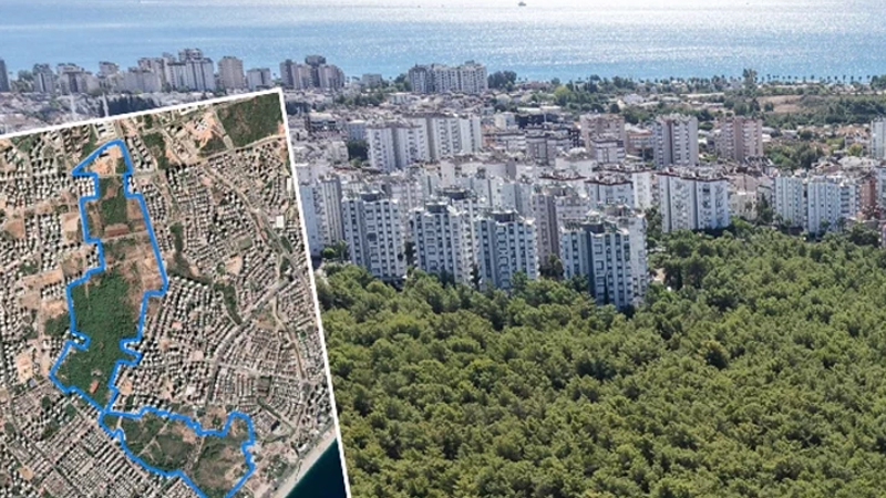 1970-ci ildən davam edən miras mübahisəsi - 55 ildir bitməyən mübarizə