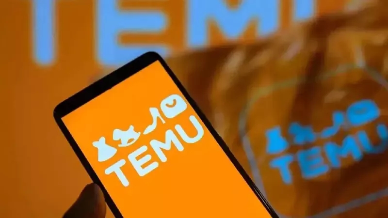 "Temu"nun mallarında təhlükəli maddələr aşkarlandı - Nazirlik yeni qaydalar tətbiq edəcək