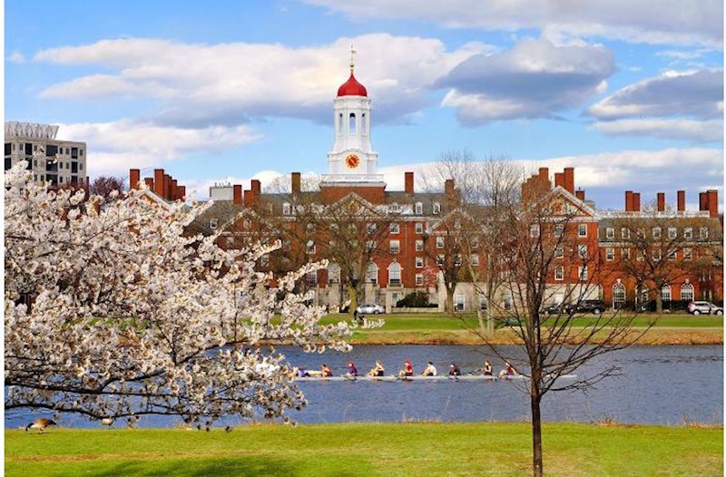 Harvard ABŞ hökumətinə 500 milyon dollar ödəyəcək – Tramp açıqladı