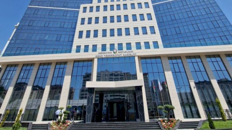 Kənd təsərrüfatında YOXLAMALAR: Rəqəmlər şişirdilib