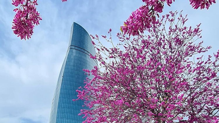 Martın son Bazar günü: HAVA NECƏ OLACAQ?