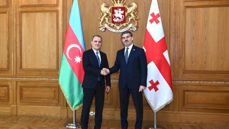 Kavelaşvili Bayramova təşəkkür etdi