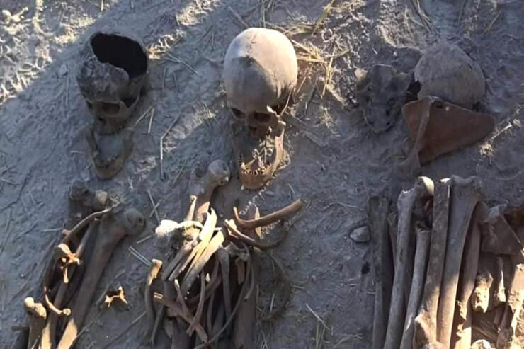 Təmir işləri zamanı insan qalıqları tapıldı 
