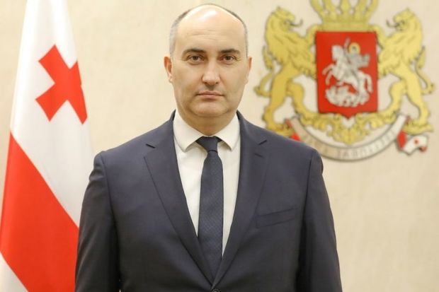 Gürcüstanın müdafiə naziri ölkəmizə səfər edib