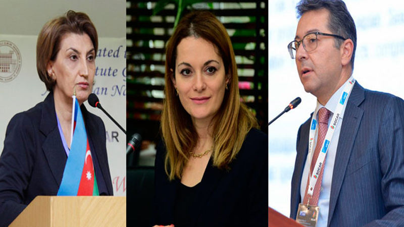 Yeddi yeni vitse-prezident... - Onlar kimlərdir?
