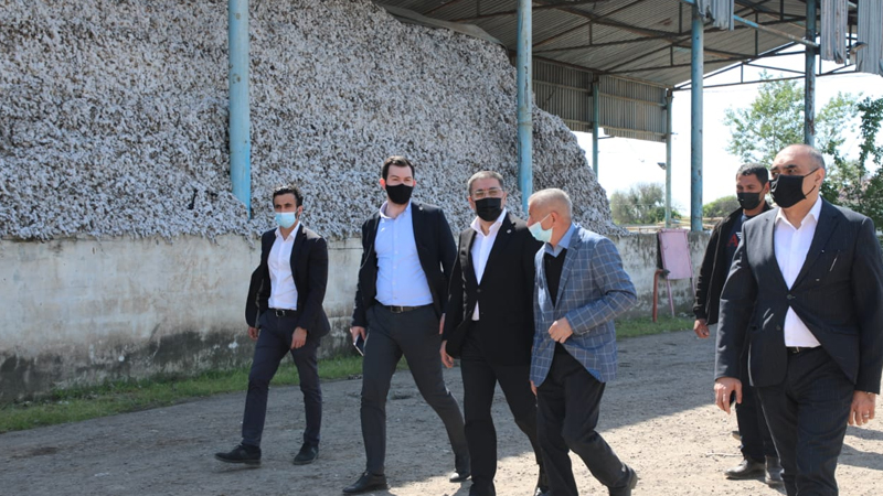 Azərbaycanda 800 min manatlıq pambıq yoxa çıxıb: "Palçığın içində..."