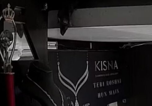 İlin oğurluğu: "Kisna Diamond" zərgərlik markasından bir siçovul bahalı brilliant kolyenı apardı - VİDEO