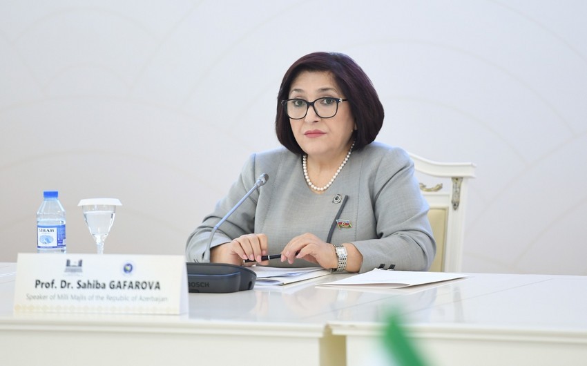 Sahibə Qafarova Dublində Simonyanın uydurma iddialarına cavab verib
