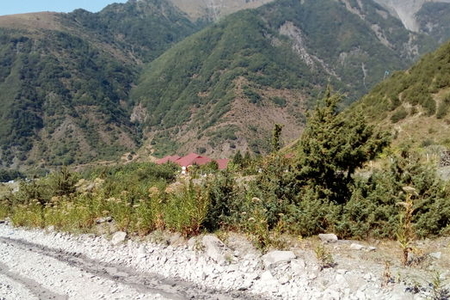 Qaxda dağlıq ərazidə kişi meyiti tapılıb